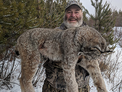 BC Lynx Hunt